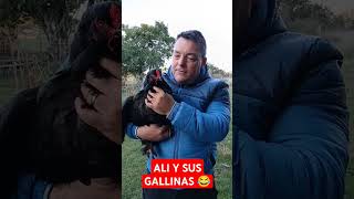 ALI Y SU AMOR POR LAS GALLINAS #maldonado #gallinas #mascotas #uruguay