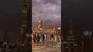 Mashallh rozae rasool#islamicshort #youtubeshorts #yt#madina#muhammad#allah#love