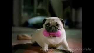 Hutch - "Now In Pink" - Comerciais de TV - Compilação de 2 Propagandas com Pug