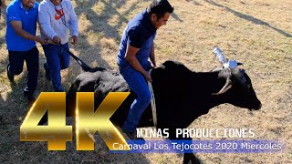 Carnaval Los Tejocotes Mixtepec *(26 Febrero 2020) 4k