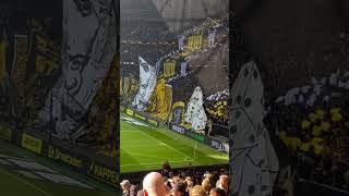 AIK Hammarby 1-0 29 september 2024 #tifo #aiktifo #norrastå #ganget #derby