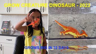 MAGIC GROW DINOSAUR TOY FROM DOLLAR TREE | GROWS 600% MORE OF ITS ORIGINAL SIZE | IRENE BABY|ATLANTA