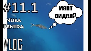 Бали - Нуса Пенида: паром, аренда байка, охота за мантами ENG|SUBs