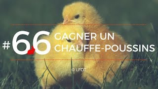 GAGNER UN CHAUFFE-POUSSINS │LFDT #66