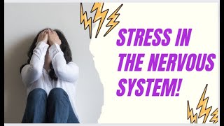 Stress in our Nervous System😫