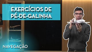 EXERCÍCIOS: PÉ-DE-GALINHA - NAVEGAÇÃO PP