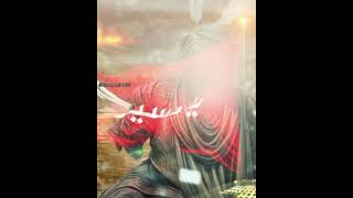 SALAM QARA PERCEME ❤🙏 @HaciHesenNemeti @pervizhuseyni313 #iraq #iran #karbala #trendingshorts