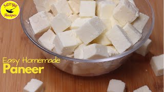 How to make Paneer | Homemade Paneer | Cottage Cheese | पनीर