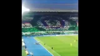 Rapid-Choreo vs. Villareal: Du bist der Mittelpunkt unseres Lebens!