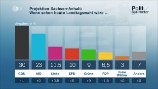 Die AfD schmiert komplett ab in Sachsen-Anhalt! 😅 😂 🤣👍