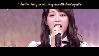 | 김세정 (Kim Sejeong) | '꽃길' 솔로데뷔 1주년 - Let's Walk On The Flower Way Together (From Vietnam Fans)