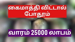 Small Business Ideas in Tamil/Siru Tholil Ideas in Tamil/ Suya Thozhil Ideas in Tamil/Business Tips