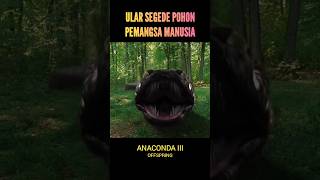 Penampakan Ular Segede Pohon Pemangsa Manusia #movie