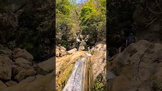 neer Waterfall Rishikesh #shortvideo  #neerwaterfall #waterfall 😍