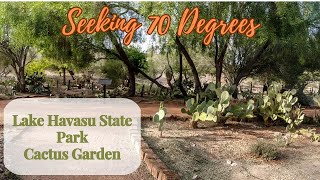 A Walk Through the Lake Havasu State Park Cactus Garden