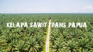 HUTAN KELAPA SAWIT TRANS PAPUA BARAT.