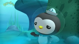 Octonauts - The Walrus Chief