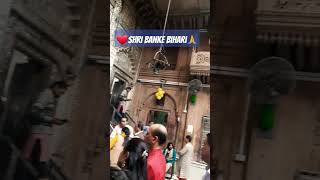 Tumhe dekhkar yun hi jeete hain hum #bankebihari #temple #vrindavan #shorts #krishna #shortsvideo