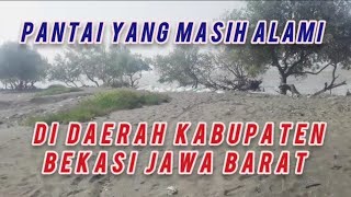 Pantai yang masih alam Pantai Bakti,Muara Gembong,  Bekasi, Jawa Barat