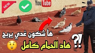 ها شكون غدي يربح هاد الحمام كامل 🤔🙏 وتحياتي ليكم خوتي العزاز