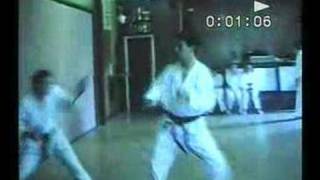 Kyushindo Karate