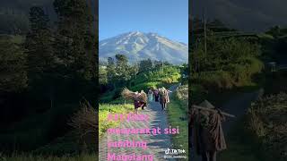 Tentram dan damai kehidupan masyarakat gunung sumbing #religion #musik