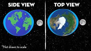 Why does the sea level rise on a full moon and new moon day?