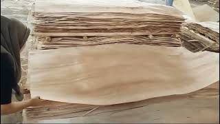 seleksi veneer faceback