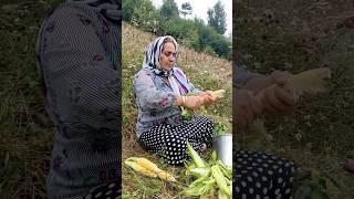 #shorts 🌽Grilled Rustic Evening Snack#viralshorts #villagelife