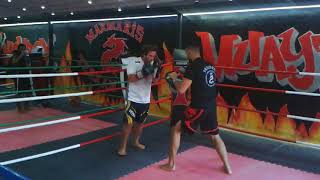 Muay thai pad works