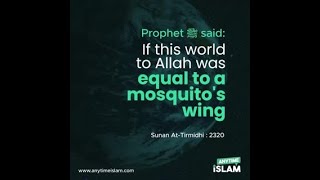 If this world to Allah was equal to a mosquito's wing