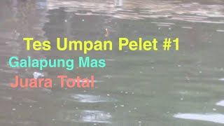 Tes Umpan Pelet Joss #1