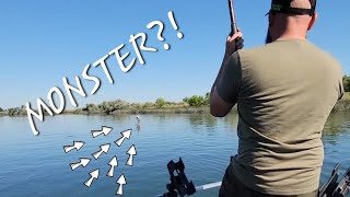 Catching DINOSAURS! (HUGE STURGEON) on The Snake River!!! GIANTS!!!