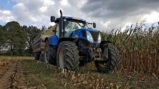 Mais häckseln mit Claas , New Holland , Deutz Fahr und Same