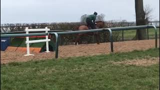 Lighthouse Mill schooling for the first time at Edgecote near Banbury