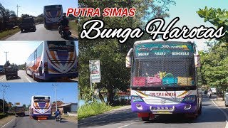 Peluru Darat Bengkulu - Medan || Aksi Putra Simas di Jalur Bengkulu