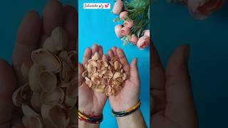 Easy pista shell flower making 🌷🌹#youtube #shorts #yt #diy #craft #homedecor #crafty #flowercraft