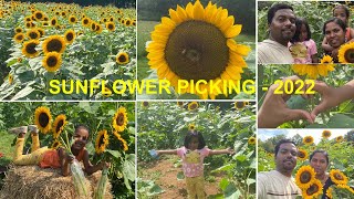 Sunflower Garden | Sunflower Picking-2022 in Atlanta | Hopewell sunflower | Irene Baby | Olivia Rose