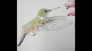 How to Paint Birds in Ink and Watercolor - Lesson 5 | Ink and Watercolor |Watercolour Painting