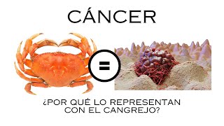 ¿Por qué el CÁNCER se relaciona con un CANGREJO?