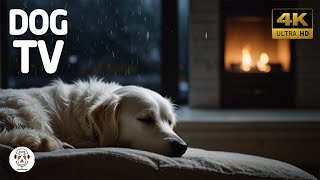 12 Hours Soothing Dogs Therapy Music 🎵 Healing Music For Easily Stressed Dogs🐶For Your Pets