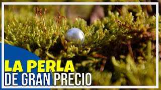 LA PERLA DE GRAN PRECIO - PARÁBOLA DE JESUS - REFLEXIÓN 📖