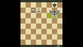 Two Bishops mate #chess #kingsacrifice #shorts #twobishopmate #mate #howtowinfastinchess