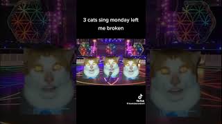 3 cats sing