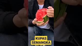 KUPAS SEMANGKA #semangka #fruits #biggest