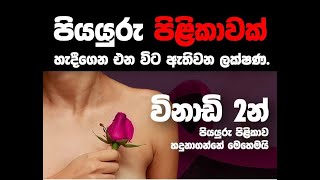 පියයුරු පිළිකා ( Breast Cancer )