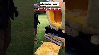 चाइना में खीरे की खेती?| biggest cucumber farming | #shorts #ytshorts