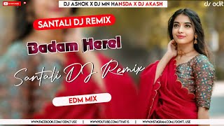 BADAM HEREL - New Santali DJ Song 2024 | Santali DJ Video 🎧 DJ Ashok x DJ MN Hansda x DJ Akash