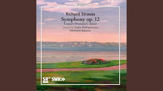 Symphony No. 2 in F Minor, Op. 12, TrV 126: II. Scherzo. Presto