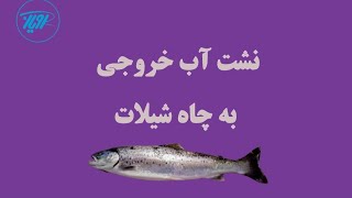 نشت آب خروجی به چاه شیلات